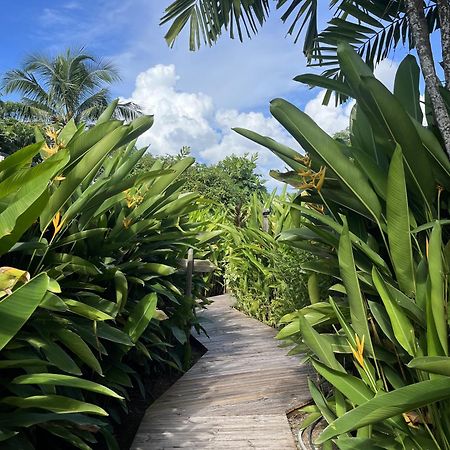 Eden Paradise Ecolodge & Spa Sainte-Luce Esterno foto