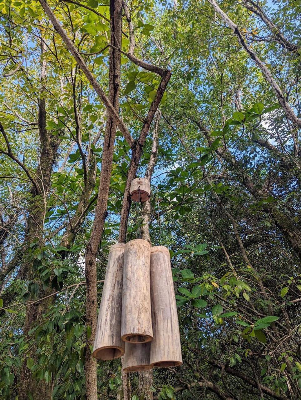 Eden Paradise Ecolodge & Spa Sainte-Luce Esterno foto