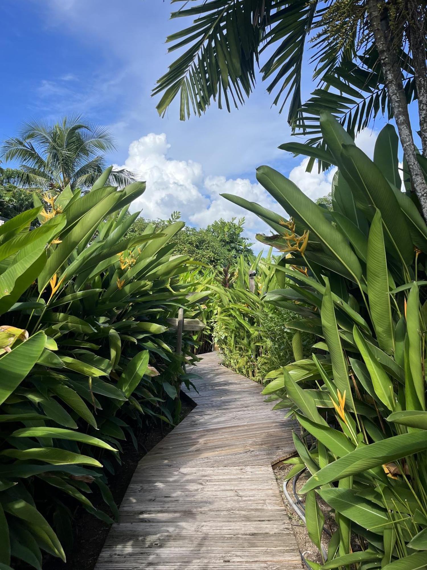 Eden Paradise Ecolodge & Spa Sainte-Luce Esterno foto