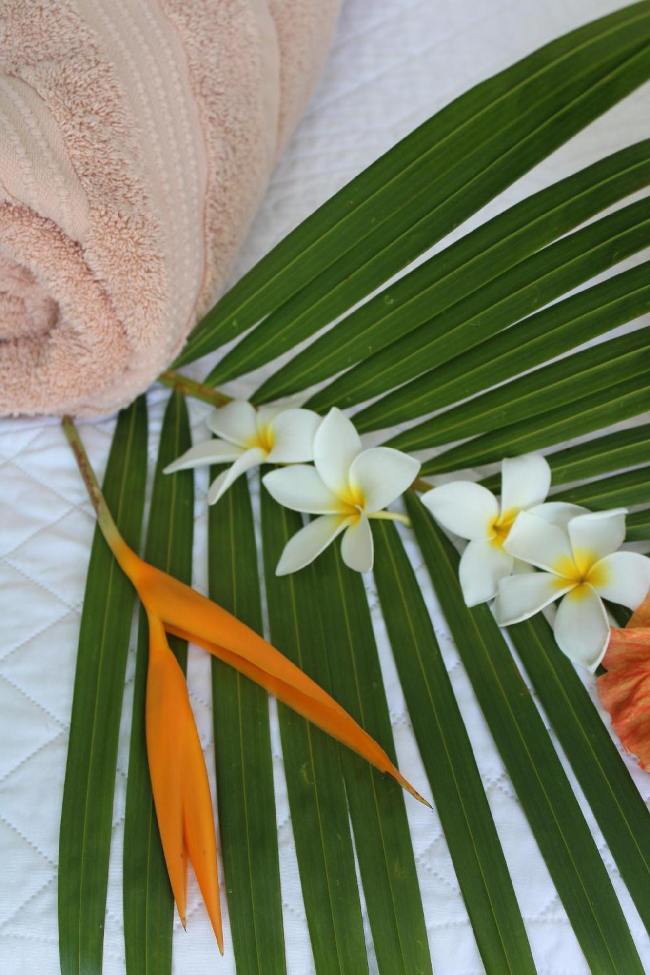 Eden Paradise Ecolodge & Spa Sainte-Luce Camera foto