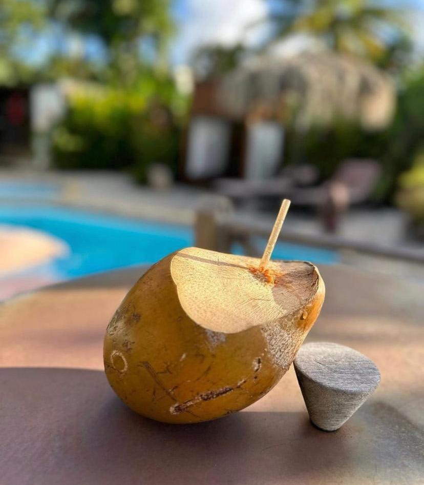 Eden Paradise Ecolodge & Spa Sainte-Luce Esterno foto